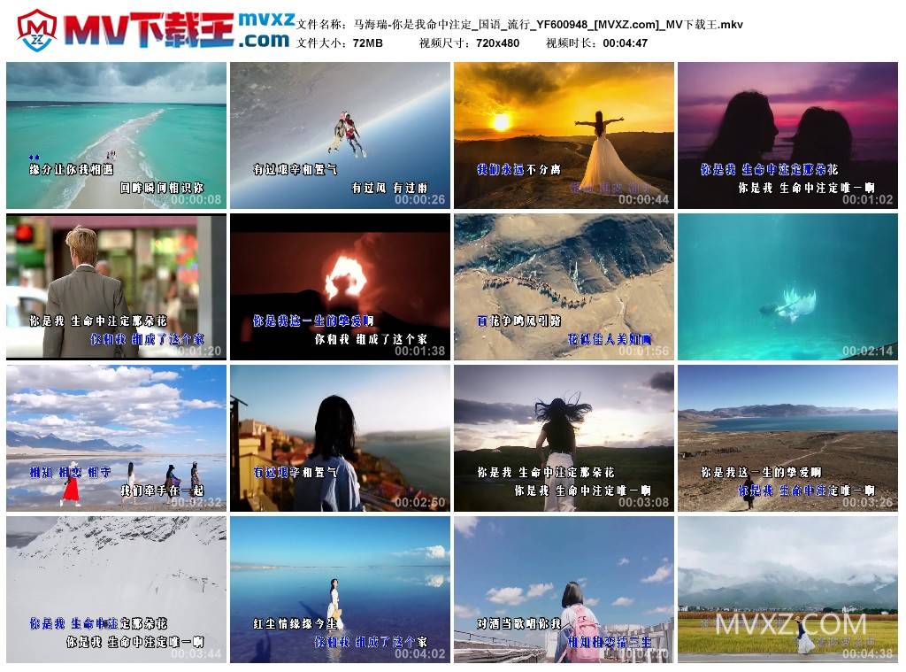 马海瑞-你是我命中注定_国语_流行_YF600948